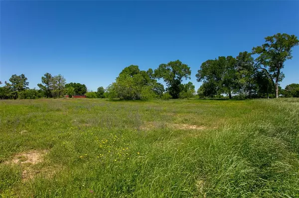 Caldwell, TX 77836,Lot 23A Brazos Court