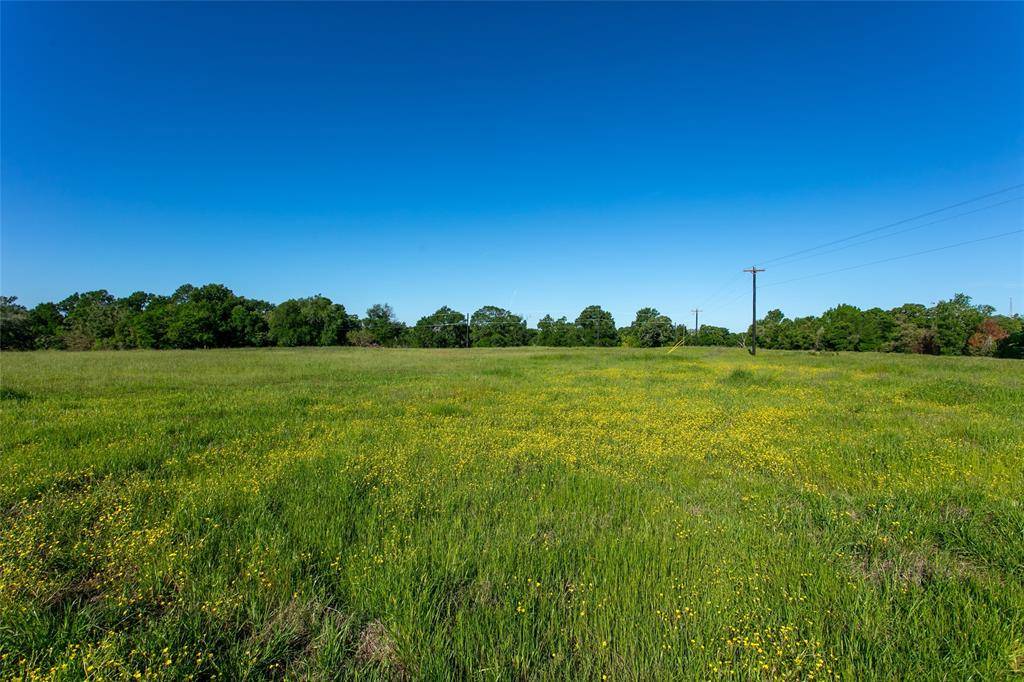 Caldwell, TX 77836,Lot 3 Brazos CT