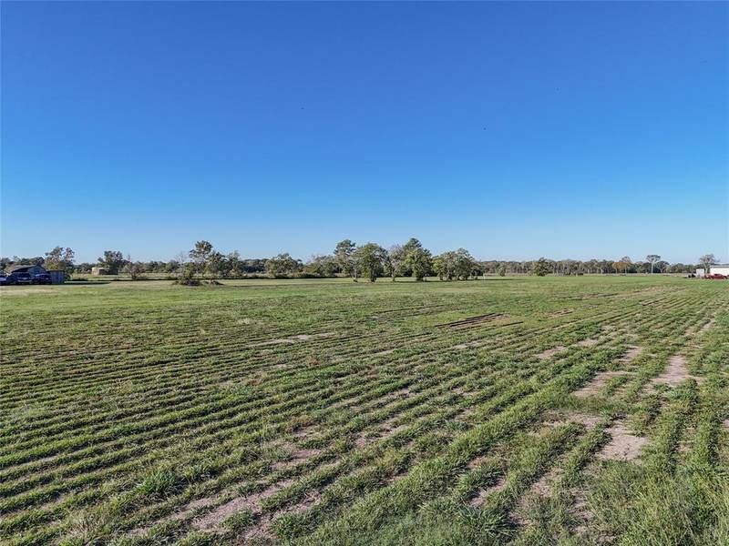 TBD 4 4ACRES COUNTY ROAD 6111, Dayton, TX 77535