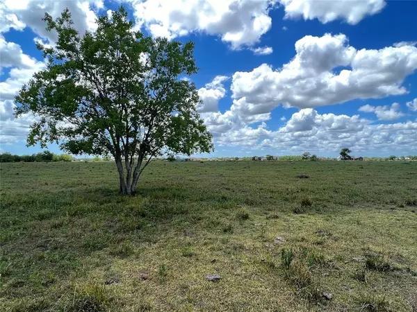 Rosharon, TX 77583,0 Lot 5, County Road 382