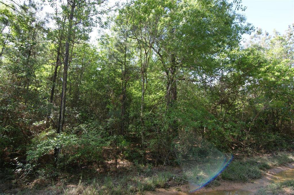 Roman Forest, TX 77357,TBD ROMAN FOREST BLVD