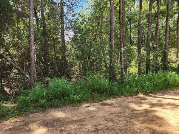 Plantersville, TX 77363,Lot 8 Smokethorn LN