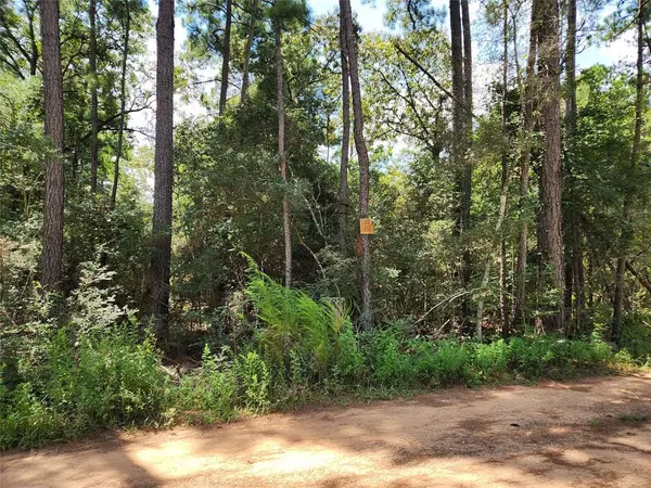 Plantersville, TX 77363,Lot 8 Smokethorn LN