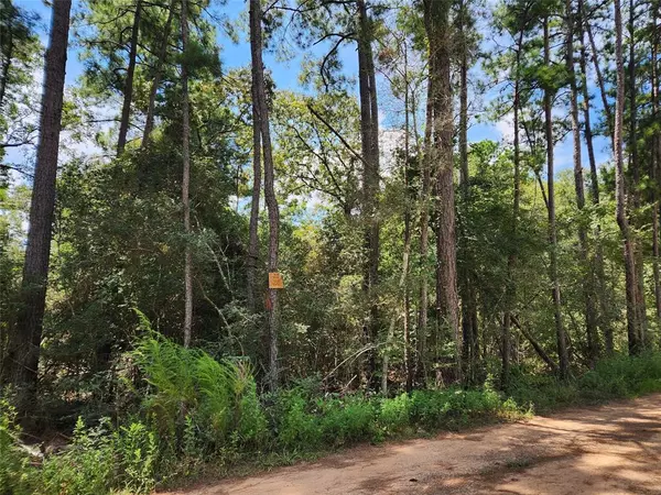 Plantersville, TX 77363,Lot 8 Smokethorn LN