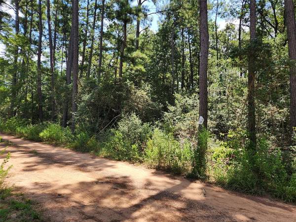 Lot 8 Smokethorn LN, Plantersville, TX 77363