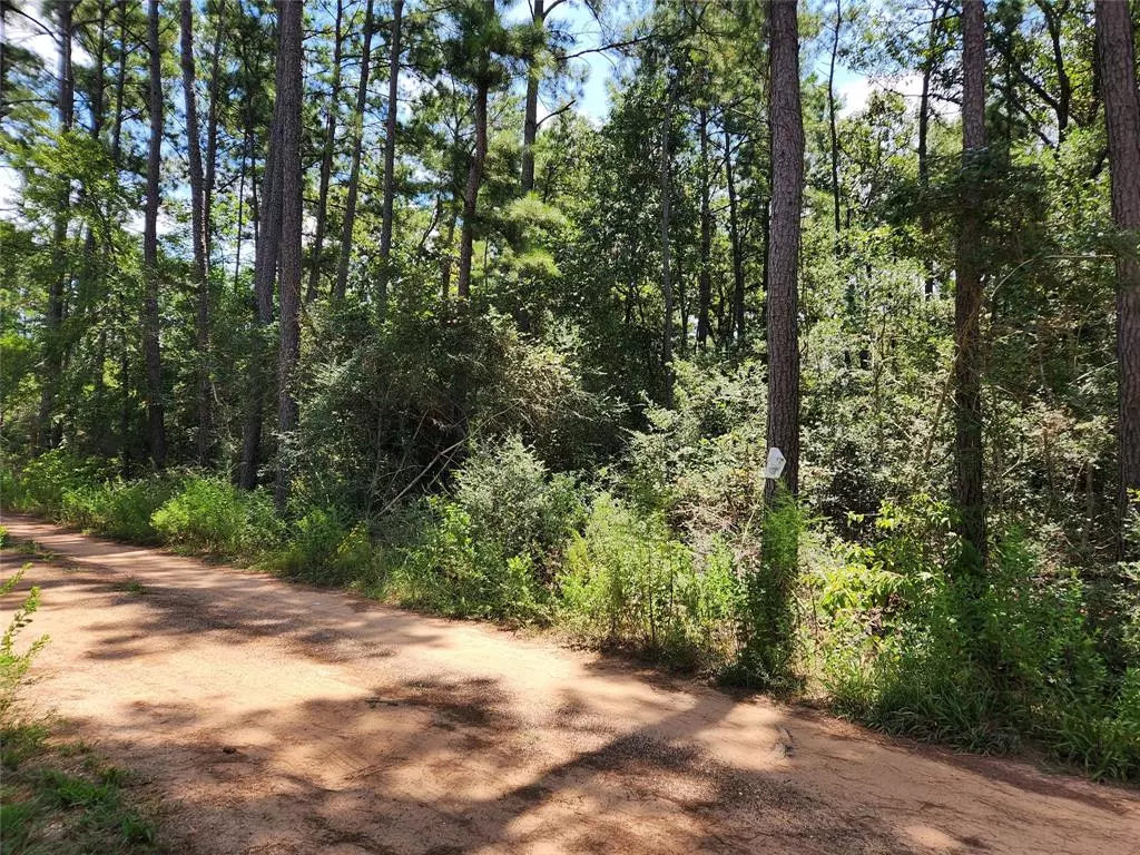 Plantersville, TX 77363,Lot 8 Smokethorn LN