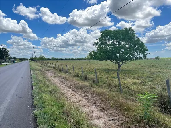 Rosharon, TX 77583,0 Lot 3, County Road 382