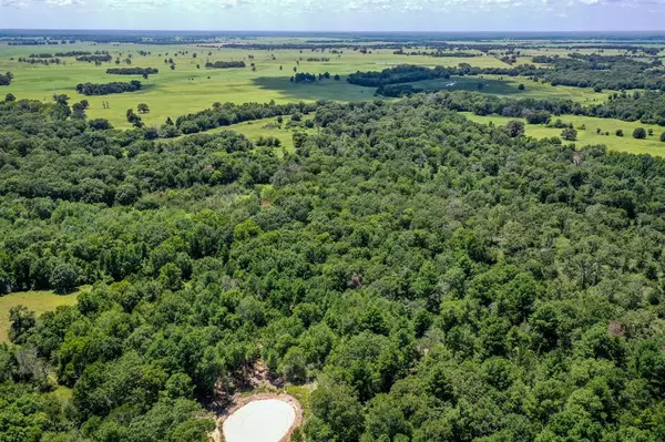 10 Acres Tract 1 Ranches at Lone Star Ridge, Lovelady, TX 75851