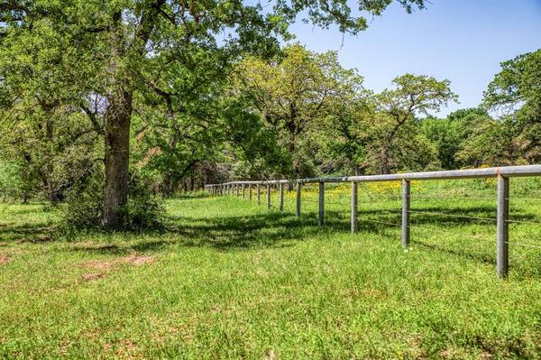 Dime Box, TX 77853,TBD (25.43 Acres) County Road 436