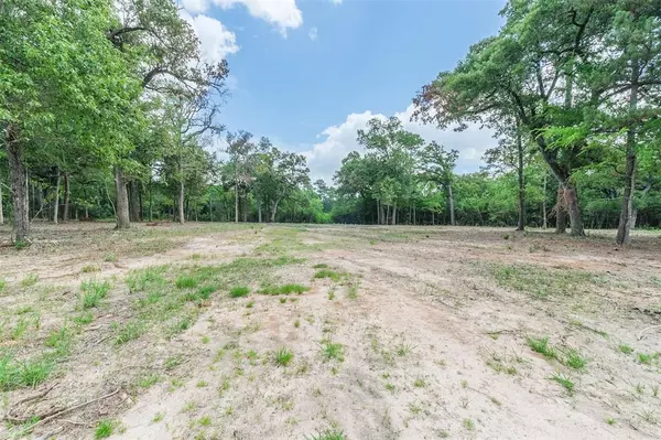 Lot 11 Spring Branch RD, Montgomery, TX 77316