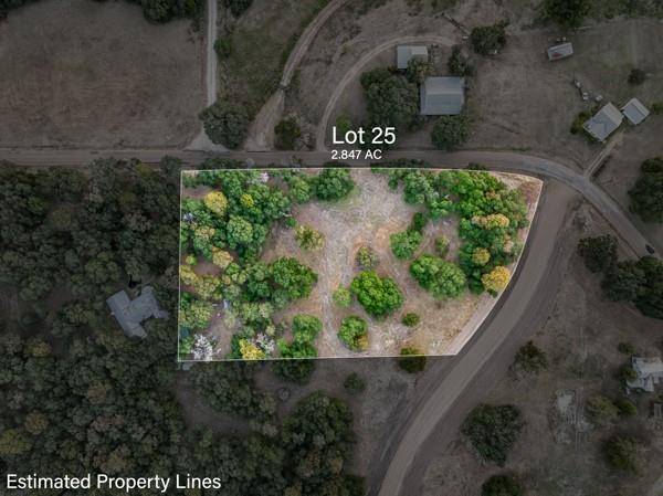 TBD Drake Lane - Lot 25, Round Top, TX 78954