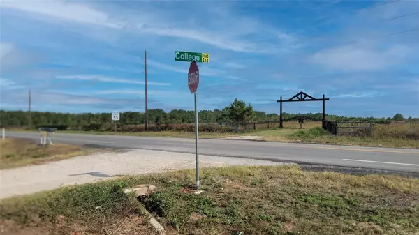 Waller, TX 77484,0 Meadowbrook LN