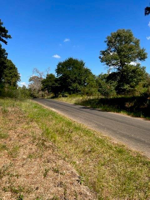 TBD Lakeview DR E, Plantersville, TX 77363