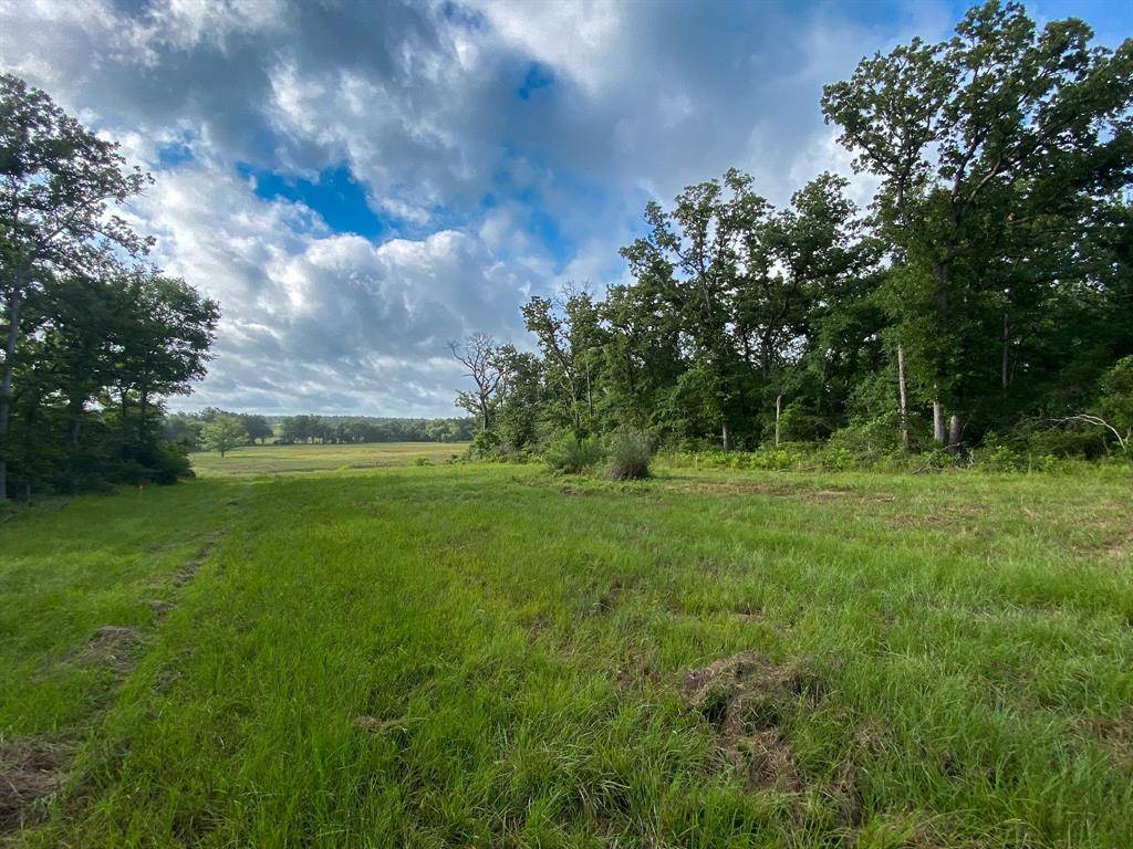 Marquez, TX 77865,TR8 County Rd 426