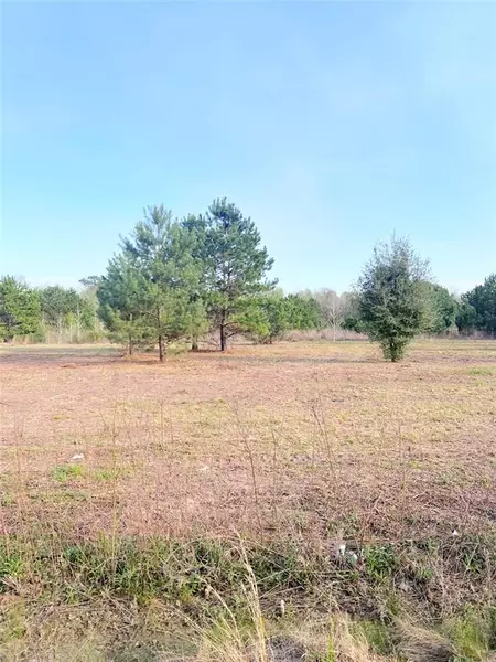 Tract 3 County Road 306, Cleveland, TX 77327