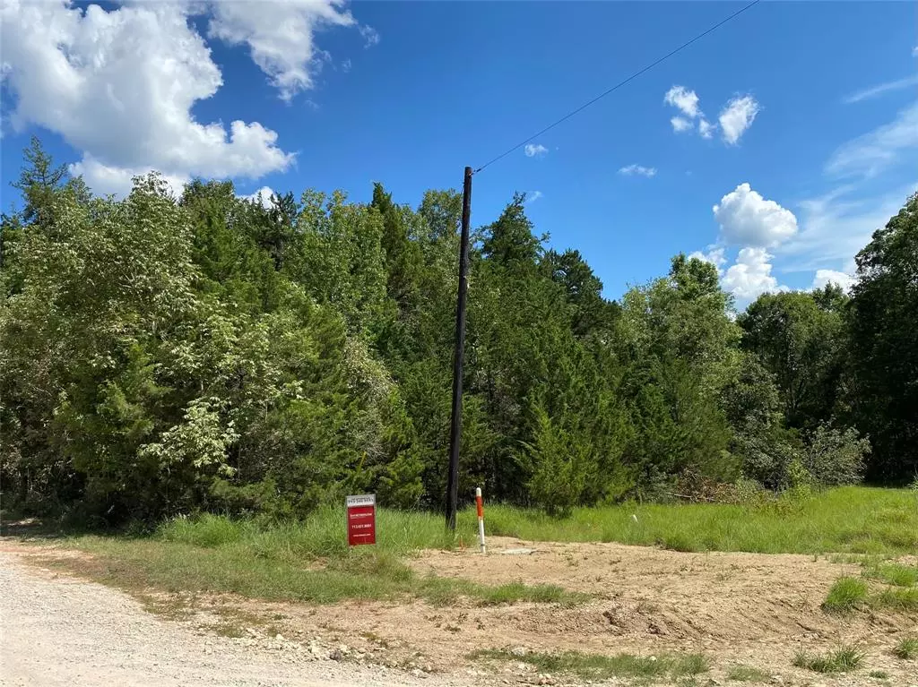 Coldspring, TX 77331,Lot 73&74 Cv Lakeside DR