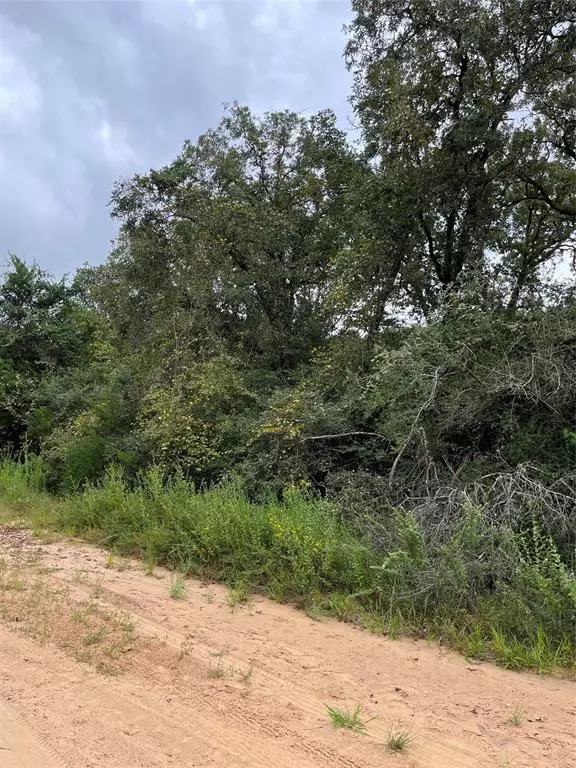 Hilltop Lakes, TX 77871,TBD Hickory Ridge Drive