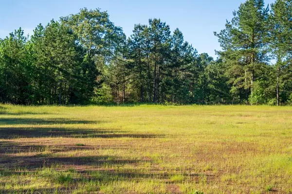 Mount Enterprise, TX 75681,TBD 1 County Rd 3271