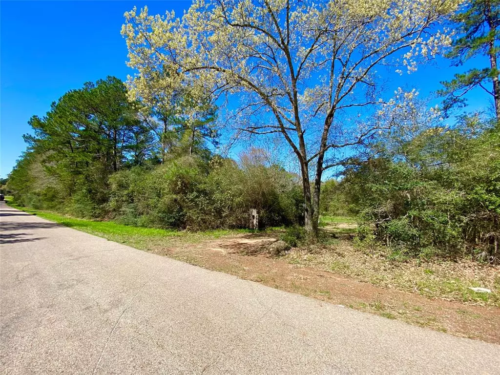 Magnolia, TX 77355,000 Walnut Springs Lane