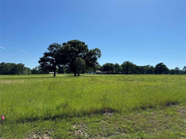 Trinity, TX 75862,62 Oakridge South