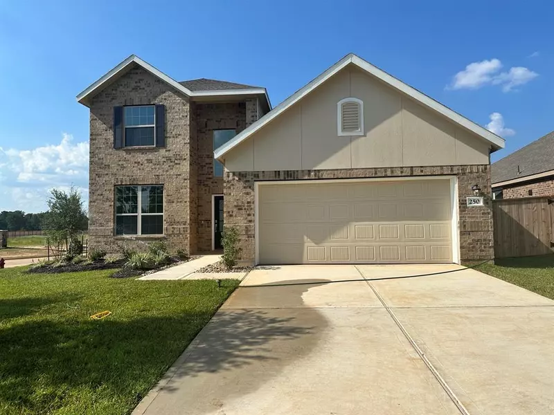 250 Wasatch Peaks WAY, Willis, TX 77378