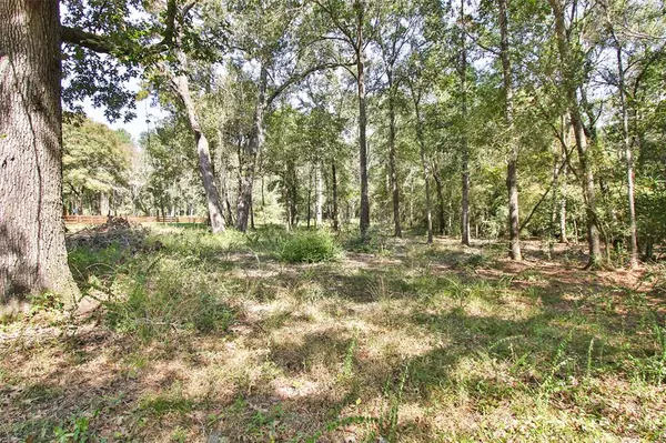 Montgomery, TX 77356,Lot 3 Quiet Hollow RD