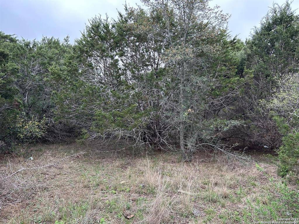 Bandera, TX 78003,00 Old Trail DR