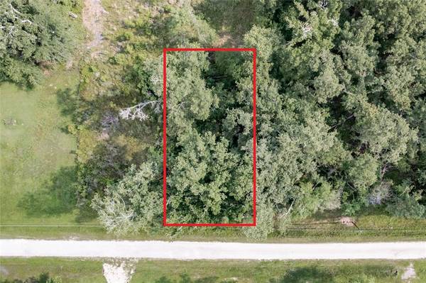 Onalaska, TX 77360,Lot 5 Ninth ST