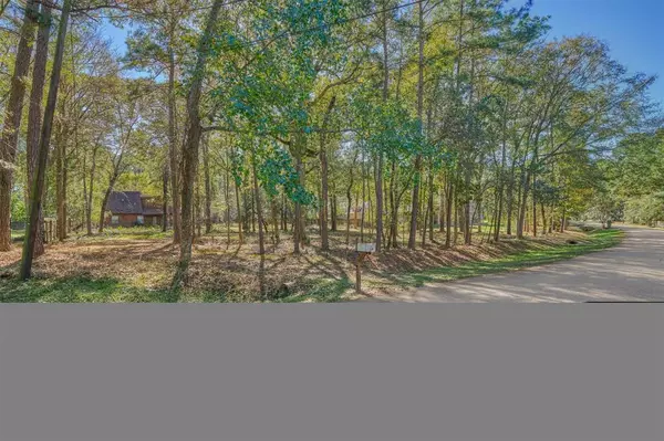 46 Lake DR, Conroe, TX 77384