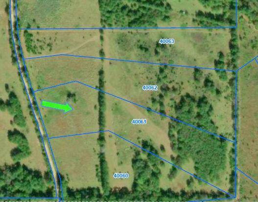 TBD County Road  3385, Lovelady, TX 75851