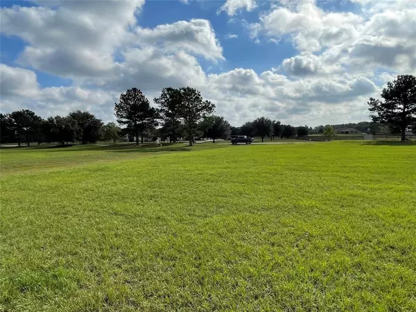 Magnolia, TX 77355,Lot 3 Meadow Lake