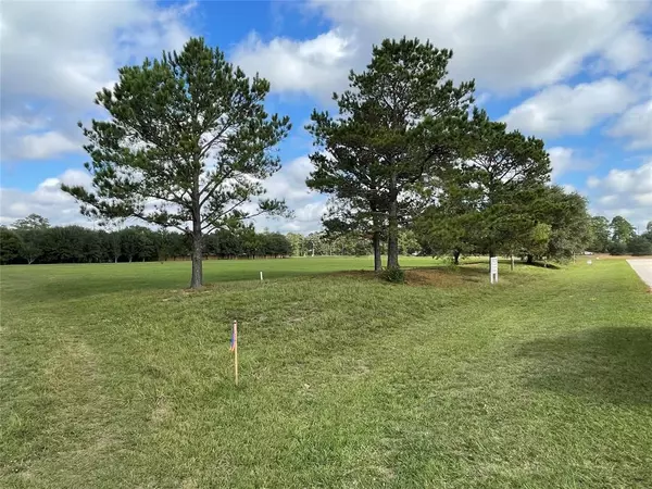 Magnolia, TX 77355,Lot 3 Meadow Lake