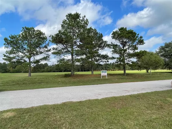 Magnolia, TX 77355,Lot 3 Meadow Lake