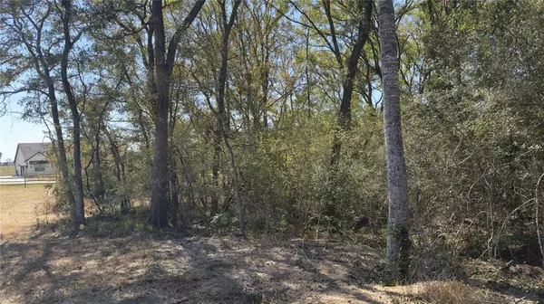 Chappell Hill, TX 77426,TBD Chappel Grove LN