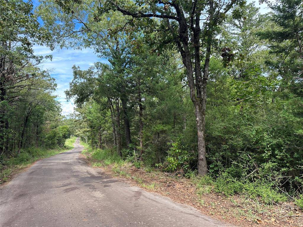 Buffalo, TX 75831,TBD CR 381