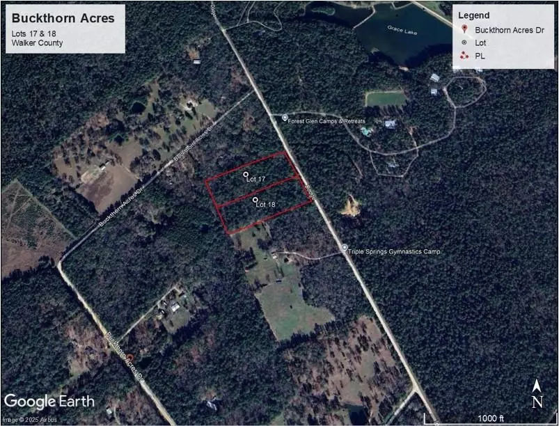 Huntsville, TX 77320,TBD Buckthorn Acres