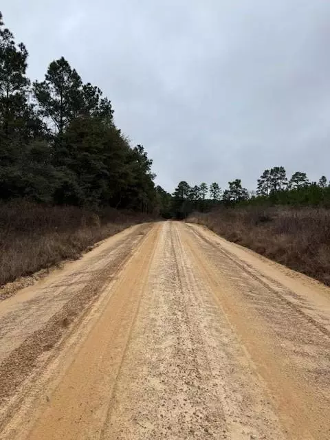 Livingston, TX 77351,TBD Blackjack Road Tract 44