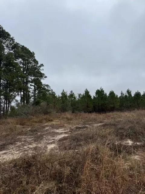 Livingston, TX 77351,TBD Blackjack Road Tract 44