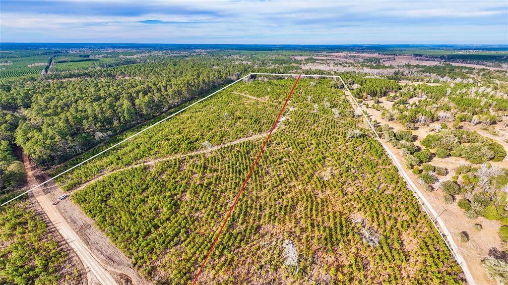Warren, TX 77664,TBD County Road 1450