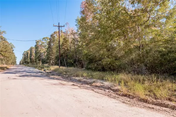 Trinity, TX 75862,Lot 98 Adventure TRL