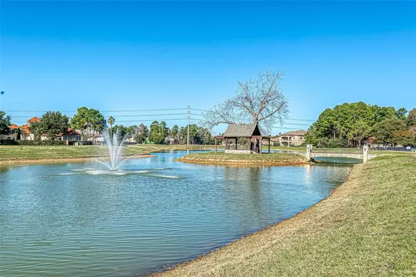 17220 Lakeway PARK, Tomball, TX 77375