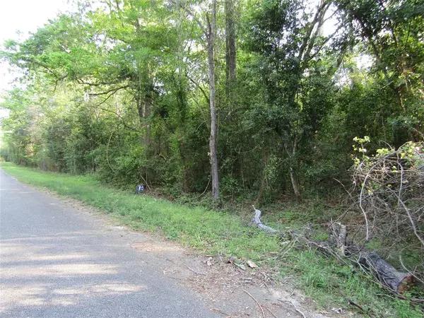 New Caney, TX 77357,TBD Holly Lane