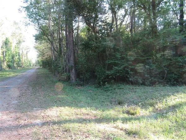 New Caney, TX 77357,TBD Holly Lane