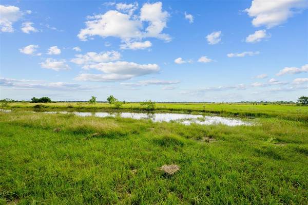 16638 Warren Ranch RD, Hockley, TX 77447