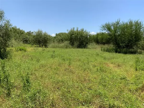 Sinton, TX 78387,TBD County Road 2367