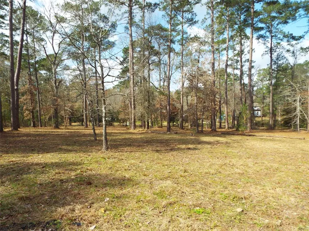 Plantersville, TX 77363,Lot 21 & 22 Emery CT