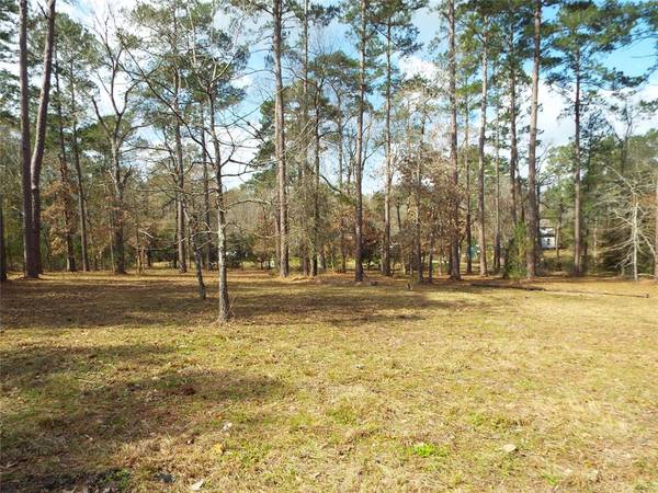 Lot 21 & 22 Emery CT, Plantersville, TX 77363