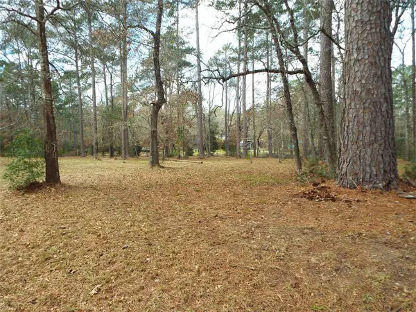 Plantersville, TX 77363,Lot 21 & 22 Emery CT