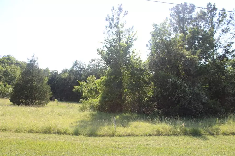 TBD Ridgeview DR, Coldspring, TX 77331