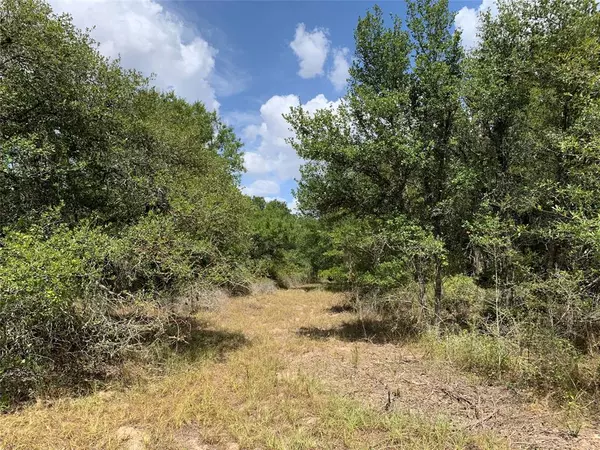 Hallettsville, TX 77964,TBD Private Road 1581